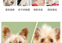 宠物美容七大步骤是什么