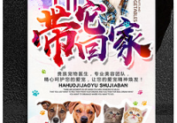 宠物美容设计图片