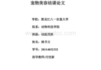 宠物美容行业的发展前景论文