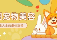 宠物美容品类适配标准表格