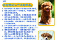 宠物美容包含哪些内容