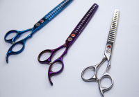 showone宠物美容学校