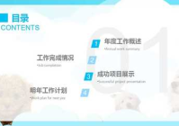 宠物美容项目概述范文