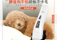 宠物常用的美容工具及设备