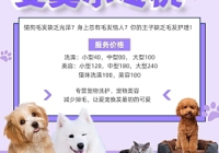 简述宠物美容的基本内容包括