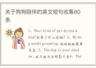 宠物美容评价语句