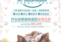 宠物美容造型都有哪些品牌的