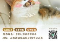 宠物美容品类适配表图片及价格