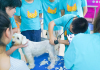 宠物美容洗护赚钱吗知乎