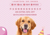 宠物美容造型图文详情