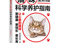 宠物美容定价策略