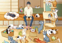 宠物美容师萌系小说