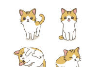 宠物美容手绘图