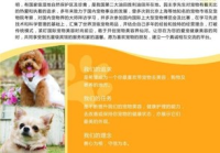 简述宠物美容的基本内容是什么