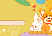 宠物美容能赚多少钱