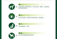 宠物美容用品测评标准