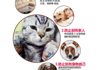 宠物美容类型分类