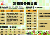 宠物美容包括哪些项目内容