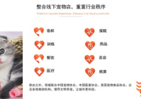 宠物美容项目商业计划书模板