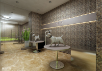 宠物美容效果图大全