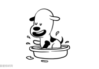 宠物美容简笔画