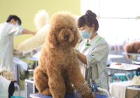 宠物美容设施图片