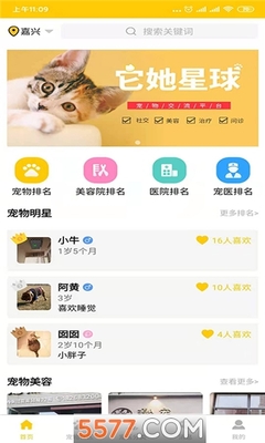宠物美容app有什么特色