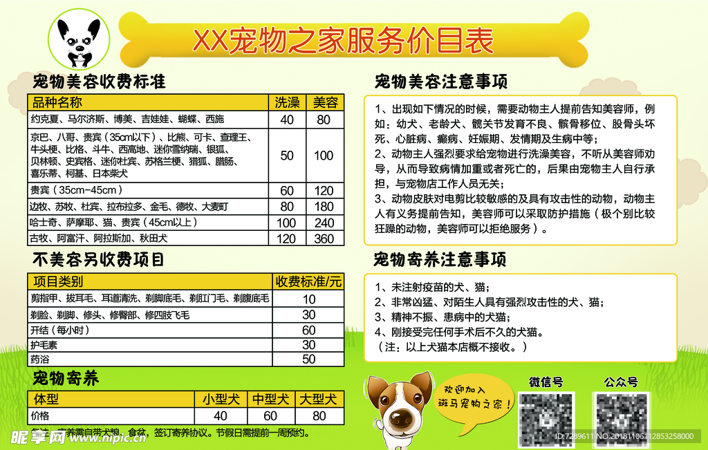 宠物美容须知图片