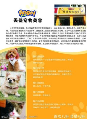 简述宠物美容的基本内容是什么