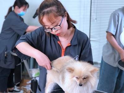 宠物美容师好评怎么写简短