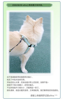 宠物美容用品测评评语大全集