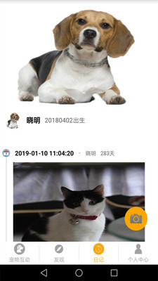 宠物美容好评评语30字