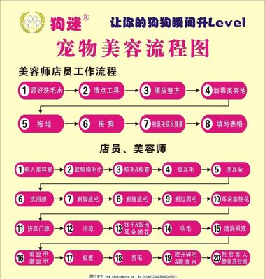 宠物美容的基本流程