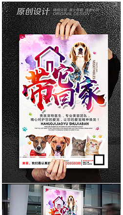 宠物美容设计图片