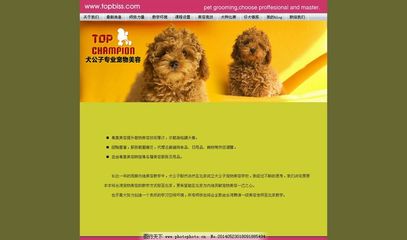 宠物美容网站哪个好