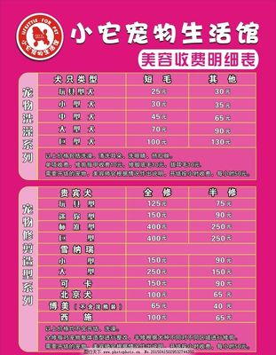 宠物美容项目及收费明细表怎么填