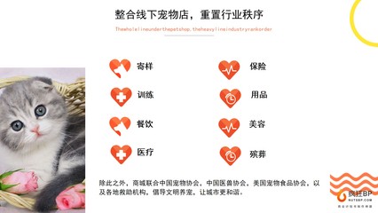 宠物美容项目商业计划书模板