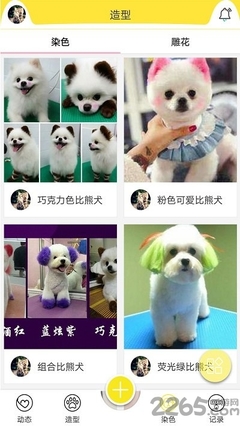 宠物美容造型图组合画