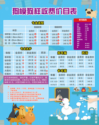 宠物美容造型都有哪些项目可以做