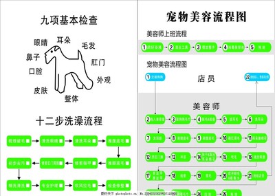 宠物美容洗美流程