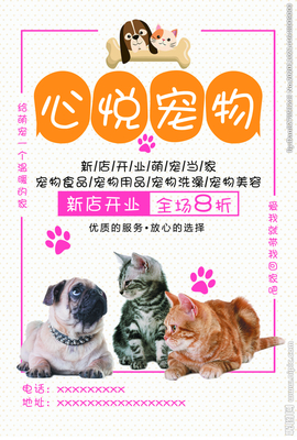 宠物洗澡美容间设计图