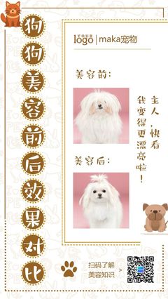 宠物美容好评内容大全