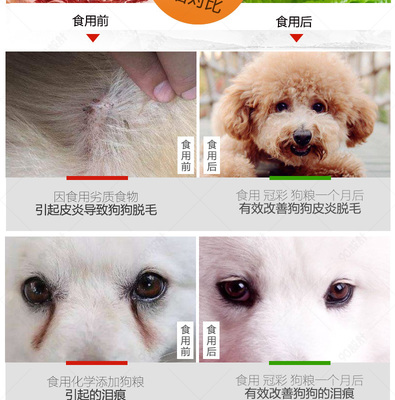 宠物美容类型分类表