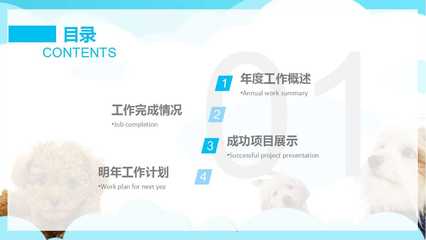 宠物美容项目概述怎么写