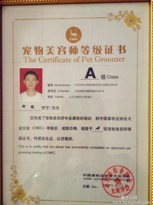宠物美容资格证