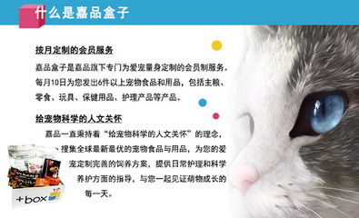 宠物美容用品测评分析与总结怎么写