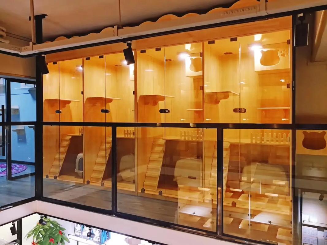 宠物用品好评模板