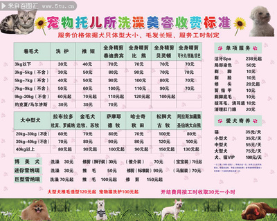 宠物美容项目的价格表