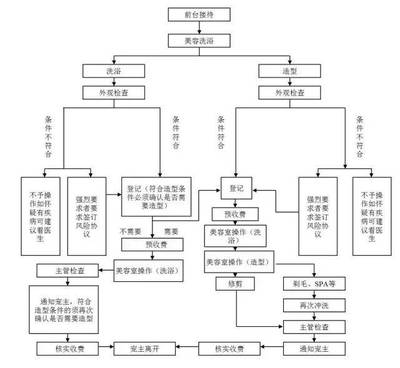 宠物美容操作流程