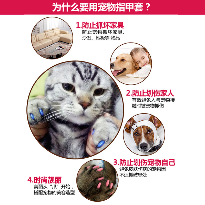 宠物美容类型分类标准